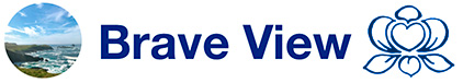 Brave View Logo